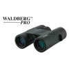 Jumelles Waldberg Pro 8x32 ED - Légères, Lumineuses, Tout-Terrain!