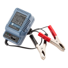 Chargeur Batterie Polyvalent 2V-12V : Efficacité et Sécurité