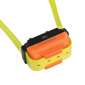 Collier Canicom R Num'Axes : Dressage efficace, visibilité jaune