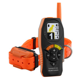 Dressage Canin Optimal : Télécommande et Collier Canicom R-500