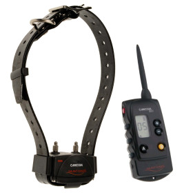 Collier Canicom 800 : Dressage Précis à 800m pour 1 ou 2 Chiens