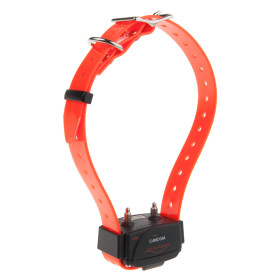 Collier CANICOM : Gérez plusieurs chiens avec un seul émetteur