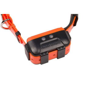 Collier GPS Num’Axes : Suivi Précis et Éducation à Distance