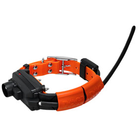 Collier GPS DogTrace X30TB : Suivi et Dressage à 20 km pour Chiens