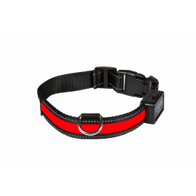 Collier Lumineux EYENIMAL : Sécurité Nocturne pour Chiens, Rechargeable