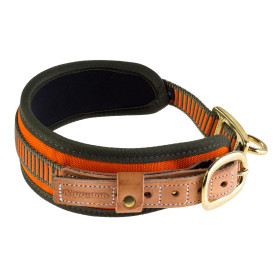 Collier Chien de Sang Orange Fluo Niggeloh : Sécurité et Confort