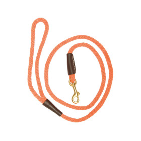 Laisse Orange pour Chien : Confort, Style et Résistance Inégalés
