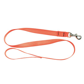Laisse Country orange fluo 1,20 m : sécurité et confort garantis