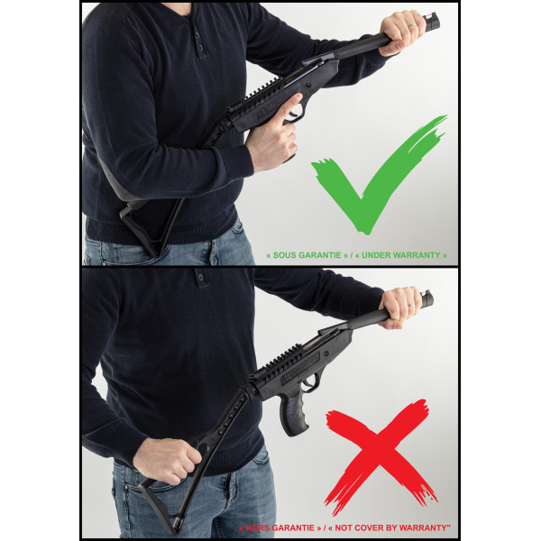 Pistolet à air LANGLEY PRO SNIPER : Précision et modularité inégalées