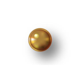 Guidon Laiton GO M2.6 D3 : Fixation Sécurisée et Durable