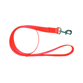 Laisse Chasse Polypropylène 120 cm Orange : Durable et Visible