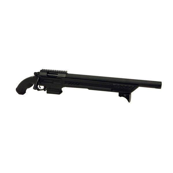 Réplique Airsoft T11S 6mm : Précision 430mm, Compatibilité TM