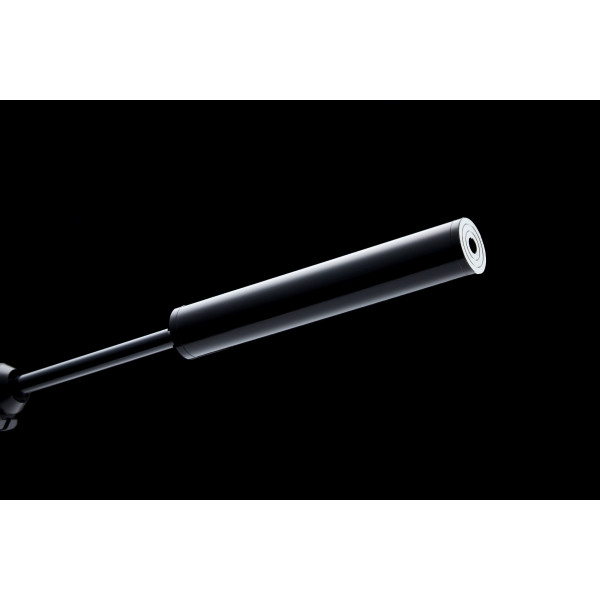 Carabine M18 C5.5 19.9J : Précision PCP en Calibre 5.5 mm