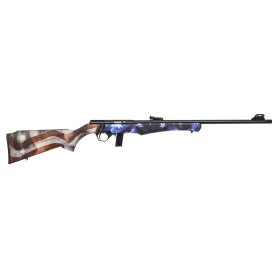 Carabine 8122 22LR USA : Précision .22LR, 10+1 coups, Cat. C