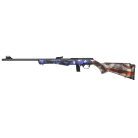 Carabine 8122 22LR USA : Précision .22LR, 10+1 coups, Cat. C