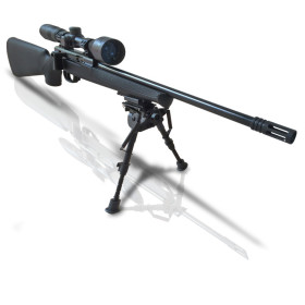 Pack Carabine SPA 22 Tactical 22LR avec Lunette et Bipied