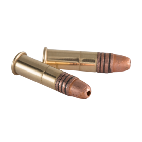 Balles 22LR Expert CP 42gr x100 - Précision pour Tir Sportif