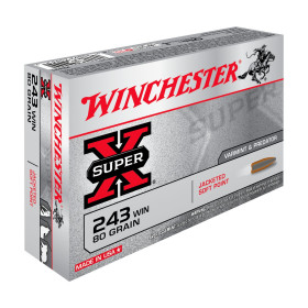 Balles 243Win Super X PSP 80gr : Précision et Fiabilité x20