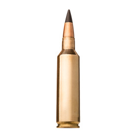 Balles 270Win 130gr : Précision Longue Distance x20