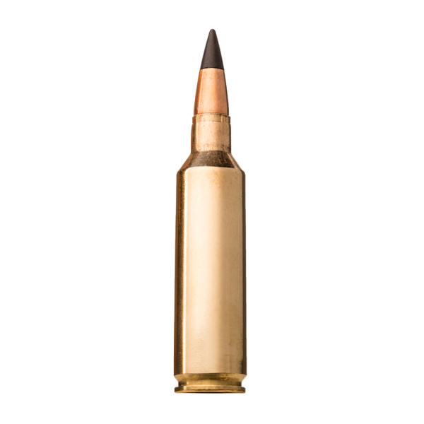 Balles 270Win 130gr : Précision Longue Distance x20