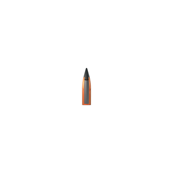 Balles 300WM 180gr x20 - Précision Longue Distance Chasse