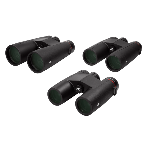 Jumelles Ursus 10x42 : Étanchéité IPX7 et Vision Panoramique