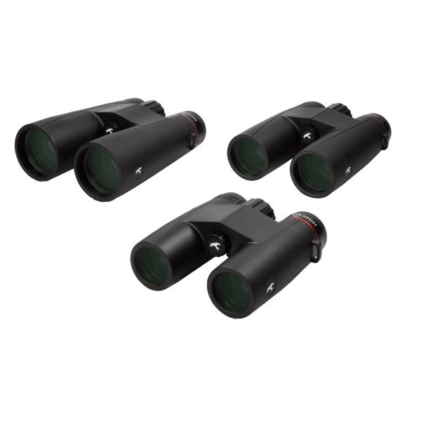 Jumelles Ursus 8x42 : Étanchéité IPX7 et Vision Nocturne