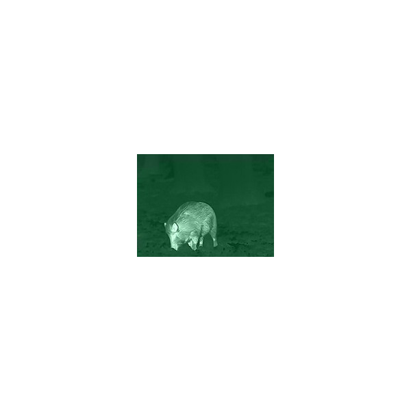 Clip Hemera XX0041 : Vision Nocturne pour Lunette, IP67, 30h