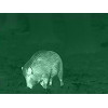 Clip Hemera XX0041 : Vision Nocturne pour Lunette, IP67, 30h