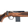 Carabine 22LR ISSC Austria SPA 22 crosse bois