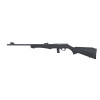 Carabine Rossi 81