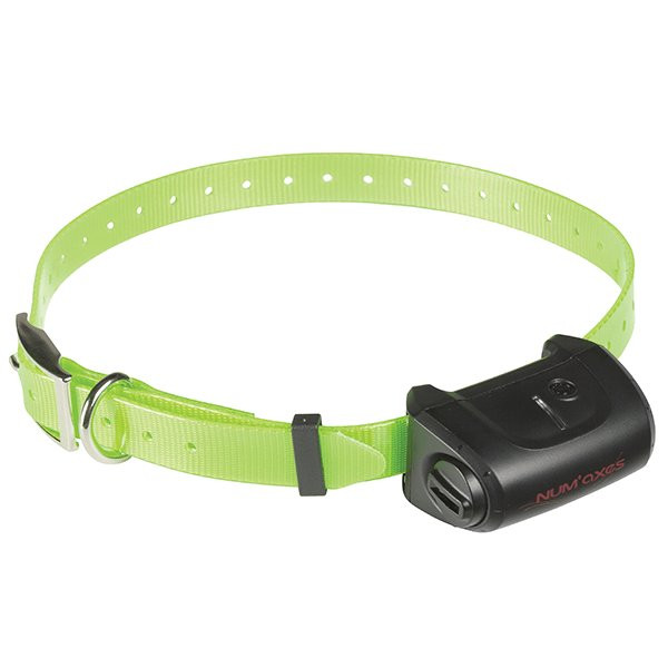 Kit collier d'éducation Num'Axes Canicom 5.500 portée 500m – Bicolore
