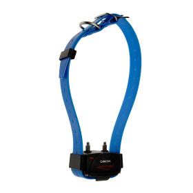 Collier supplémentaire Num'Axes Canicom – Bleu