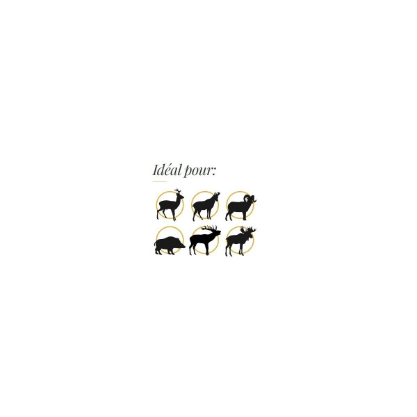 Ogives sans plomb Fox Bullets Classic Hunter 6,5 mm (.264) 123 gr - boîte de 50