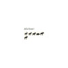 Ogives sans plomb Fox Bullets Classic Hunter 6,5 mm (.264) 139 gr - boîte de 50