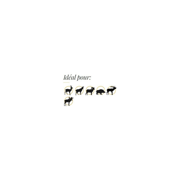 Ogives sans plomb Fox Bullets Classic Hunter 7 mm (.284) 130 gr – boîte de 50