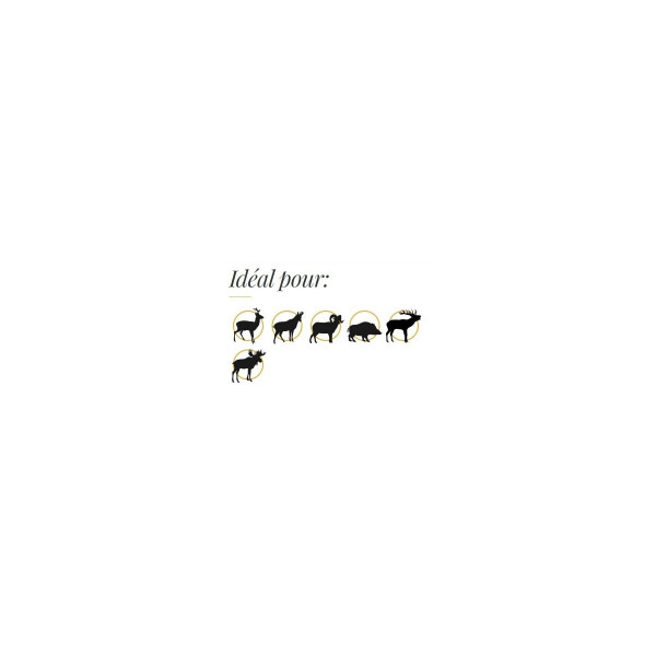 Ogives sans plomb Fox Bullets Classic Hunter 7 mm (.284) 145 gr - boîte de 50