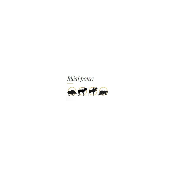 Ogives sans plomb Fox Bullets Classic Hunter 9,3 mm (.366) 250 gr – boîte de 50