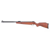 Carabine à air comprimé R-Force Wood calibre 4,5 mm 19,9 joules crosse bois