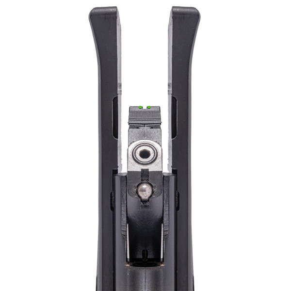 Carabine à air comprimé R-Force Target Gas Piston calibre 4.5 mm 19.9 J crosse synthétique
