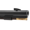 Fusil Investarm Hawken 160 : Précision et Élégance Historiques