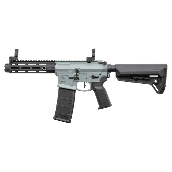 Pack Complet AEG LT-32 Hellion NSR Grey : Fiabilité et Performance