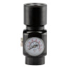 Régulateur HPA GEN2 : Double Sortie pour Performance Optimale
