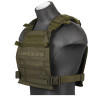Gilet Plate Carrier Noir 1000D : Résistance et Modularité Optimale