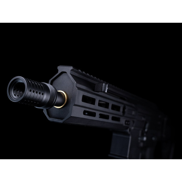 Réplique AEG FLCN 5.56 ASG : Légèreté et Précision pour Airsoft