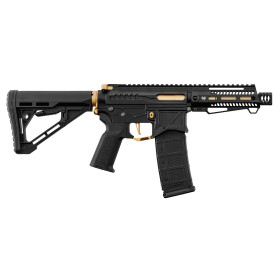 Réplique R15 Zion Arms Noire/Or : Précision et Style Inégalés
