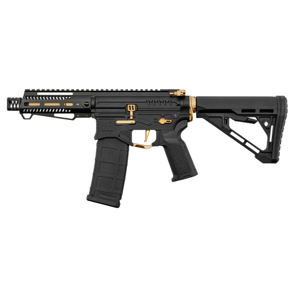 Réplique R15 Zion Arms Noire/Or : Précision et Style Inégalés