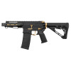 Réplique R15 Zion Arms Noire/Or : Précision et Style Inégalés