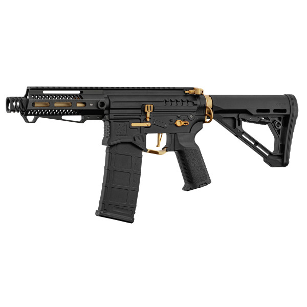 Réplique R15 Zion Arms Noire/Or : Précision et Style Inégalés