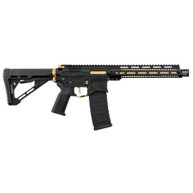 Réplique R15 Zion Arms Noire/Or : Précision et Élégance Assurées